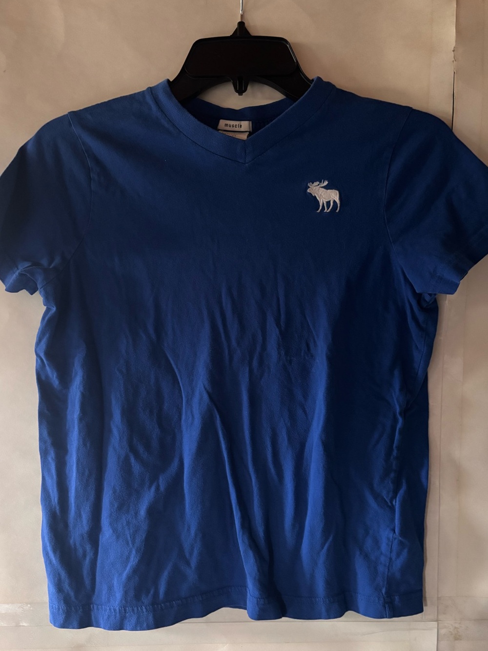 2 pieces of Abercrombie Kids Boys XL tees